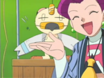 Meowth Wingull.png