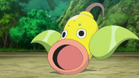 Ramos's Weepinbell