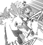 Chic Combusken Flamethrower.png