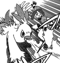 Chic Combusken Flamethrower.png