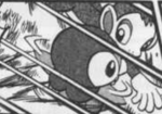 Chimler Chimchar Scratch.png