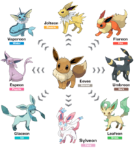 Eeveelutions.png