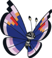 Elegant Vivillon