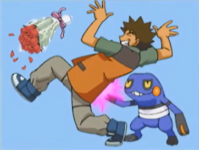 Brock and Croagunk DP.png