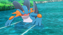 Faraway Island Swampert.png