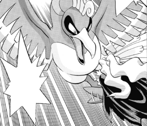 Masked Man Ho-Oh.png