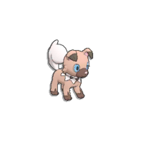 Pokédex Image Rockruff USUM.png