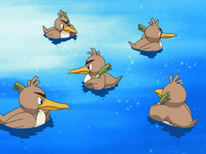 Cremini Town Farfetch'd.png