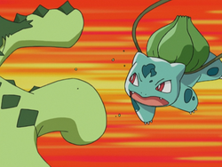 May Bulbasaur Tackle.png