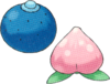 Berries.png