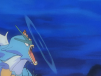 Misty Gyarados Protect.png