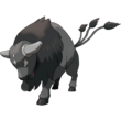 Paldean Tauros (Combat Breed)