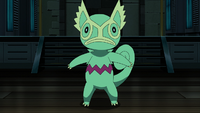 Gizmo's Kecleon