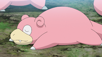 Goh's Slowpoke