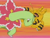 Casey Meganium Tackle.png