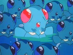 Giant Tentacruel Tentacool.png