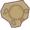 Mine Skull Fossil.png