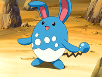 Paul's Azumarill