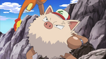 Ash Primeape.png