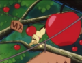 Pichu's miscolored tail