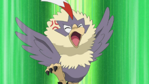 Rufflet anime.png