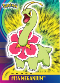 Topps Johto 1 03.png