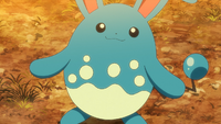 Danika's Azumarill