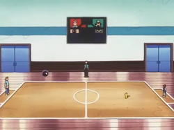 Ecruteak Gym Battlefield.png