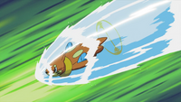 Ash Buizel Aqua Jet.png