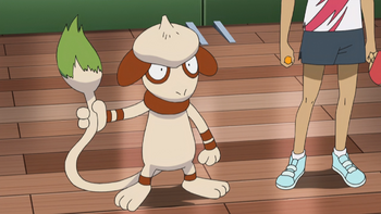 Ilima Smeargle.png