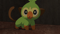 Team Rocket's Grookey