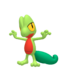 Treecko