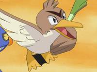 Holly's Farfetch'd