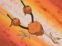 Otoshi's Doduo