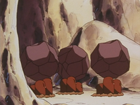 Pietra's Dugtrio