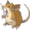 020Raticate.png