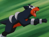 Cassidy's Houndour