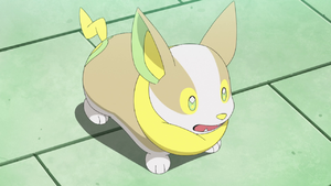 Cerise Yamper.png