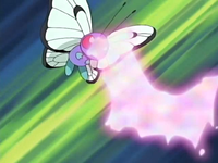 Drew Butterfree Psybeam.png