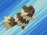 Nicholai's Zigzagoon