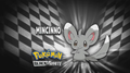 The Minccino error