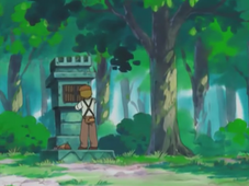 Marion Town Celebi shrine.png