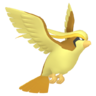 Pidgeot