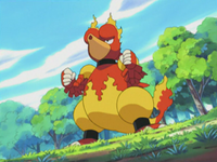 Satchel's Magmar