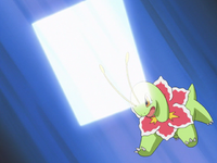 Vincent Meganium Light Screen.png