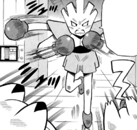 Giovanni Hitmonchan PM.png