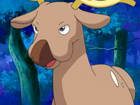 Paul's Stantler