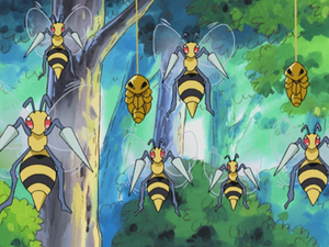 Petalburg Forest Beedrill.png