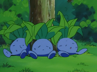 Steven's Oddish