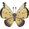 Vivillon